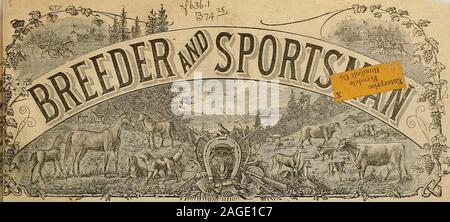 . Züchter und Sportler. 1478228 ein FRANCISCO, Samstag, 4. Januar 1896. Eine der alten Garde. Palo Alto, Dezember 30th, 1895. Es gibt immer noch auf Deck in Palo Alto lieferbar Bauernhof von Thehome von Adbell, Palita und ausdrucksstark, einem alten gentlemanwho ziemlich auffällig mit der Trab horsefor viele Jahre dargestellt hat. Er ist jetzt die Wiederherstellung nach einem langen Bann ofsickness durine erinnert, und seine Stimmung Ich habe learnedfrom ihm viel von seinem Leben und die Pferde, die er mit beenconnected hat. Chas. Cochran, oder Onkel Charley, wie ist familiär callediy Alle in Palo Alto, wurde in New York City geboren, Januar&lt;5 Stockfoto