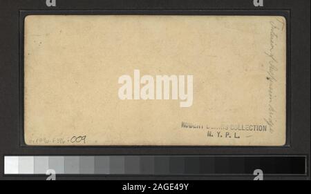 Innenraum der Suspension Bridge Blick auf Niagara Falls und Umgebung, mit Blick auf die Wasserfälle, Wind geblasen Bäume, den Stromschnellen und Whirlpool, Terrepin Turm, die darüber hinaus, Table Rock fällt, Hinausragende von Cliff, Devil's Hole, ein Blick auf die Bäume im Winter, mit Schnee bedeckt, Goat Island vom Turm, die Hängebrücke, darunter ein Blick nach innen, und ein Blick auf die Brücke und fällt mit einer Farm im Vordergrund, und eine Ansicht witmer's Mill Gebäude auf der linken Seite der Brücke. Mit einer Hand - farbige Anzeigen. Robert Dennis Sammlung von stereoskopische Ansichten. Einige Ansichten sind im Nega nummeriert Stockfoto
