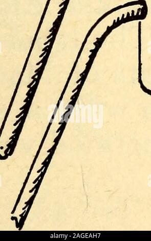 . Annalen der Gartenbau in Nordamerika für das Jahr ... : Ein Zeuge der Ereignisse und eine Aufzeichnung der Fortschritte. Abb. 37. tomnnninimn? HOYT & Sohn. Abb. 38. 378 Annalen der Gartenbau. Nageln von Berry-Boxen. Auf einem Standard, ein, die pro Stück von 2} Wandstärke 4 Fuß lang, ein weiteres Stück 9 Zoll lang, b, ist morticed und verschraubt. Eine Eisenplatte, c^Zoll dicke, auf b geschraubt, dient einem guten Zweck in Clinchen Nägel. Stockfoto