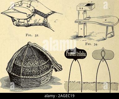 . Annalen der Gartenbau in Nordamerika für das Jahr ... : Ein Zeuge der Ereignisse und eine Aufzeichnung der Fortschritte. 376 Annalen der Gartenbau. Endlose Riemen, mit zwei Taschen, wie ein Korn-eleva - Tor, vermittelt die Früchte zu Boden und dumpsit automatisch in die Felder, die die Notwendigkeit der Pick-ers verlassen die Leiter aus einem anderen Grund als das ofchanging seine Lage. Eine Reihe von Leitern wird putinto Obstgärten werden in der kommenden Saison vom Erfinder an den Dämon - strate ihre Nützlichkeit. - Kalifornien Fruit-Grower. Fruit-Nippers.- (Abb. 32.) Das neueste Gerät für Pr Stockfoto
