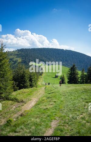 Vertikale Aufnahme von Menschen, die in einem grasbewachsenen Feld in der Nähe gehen Ein kurviger Pfad, umgeben von hohen Bergen Stockfoto