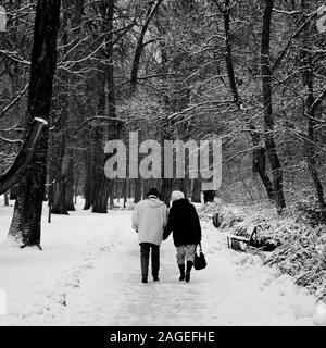 Graustufenaufnahme eines alten Paares, das durch den Weg geht Im Park im Winter mit Schnee bedeckt Stockfoto