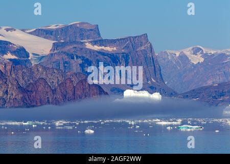 Meer Nebel unter Eisberge in Scoresby Sund, der weltweit größten Fjord Stockfoto