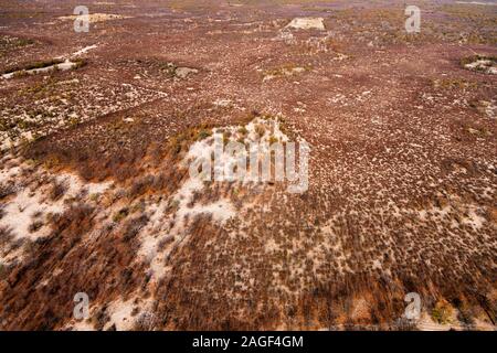 Büsche und Wüstengegend in der Nähe von Maun, Blick aus der Vogelperspektive auf Okavango Delta, Hubschrauberrundflug, Botsuana, Südafrika, Afrika Stockfoto