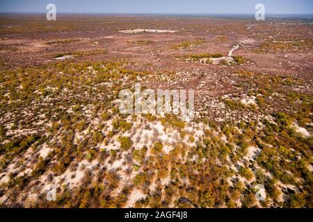 Büsche und Wüstengegend in der Nähe von Maun, Blick aus der Vogelperspektive auf Okavango Delta, Hubschrauberrundflug, Botsuana, Südafrika, Afrika Stockfoto