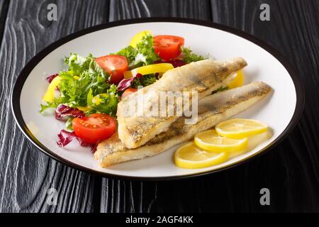 Gesunde gebratenes Zanderfilet mit Salat und Zitrone closeup in einem Teller auf dem Tisch. Horizontale Stockfoto