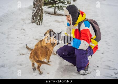 Junge männliche Snowboarder spielt mit Welpen bei einem Skigebiet im Winter Stockfoto