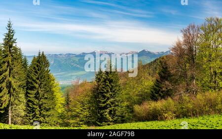 Krivanska Mala Fatra Gebirge mit höchsten Velky Krivan Hill aus Koskarovska luka Wiese unten Klak Hügel in Velka Fatra Gebirge in der Slowakei Stockfoto