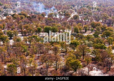 Busch und Wüste Gegend in der nähe von Maun, Luftaufnahme von Okavango Delta, durch Hubschrauber, Botswana, Afrika Stockfoto