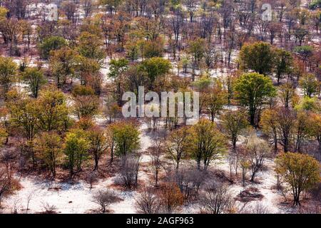 Busch und Wüste Gegend in der nähe von Maun, Luftaufnahme von Okavango Delta, durch Hubschrauber, Botswana, Afrika Stockfoto