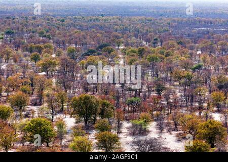 Busch und Wüste Gegend in der nähe von Maun, Luftaufnahme von Okavango Delta, durch Hubschrauber, Botswana, Afrika Stockfoto