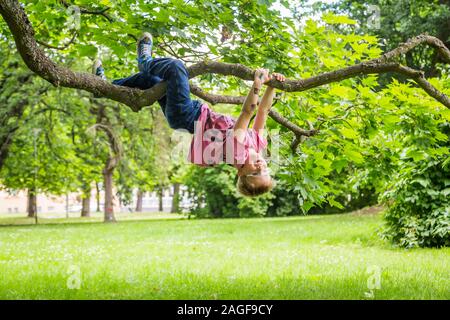 Junge süße Kinder hängen von einem Baum im Sommer Stockfoto