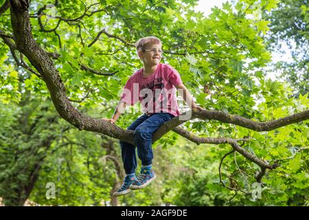 Junge süße Kinder hängen von einem Baum im Sommer Stockfoto