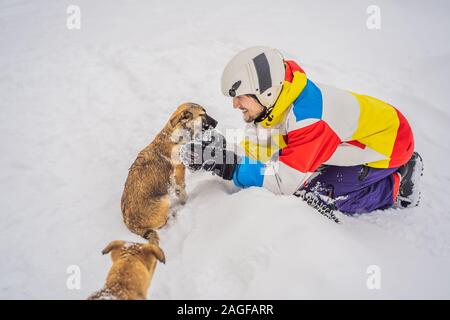 Junge männliche Snowboarder spielt mit Welpen bei einem Skigebiet im Winter Stockfoto