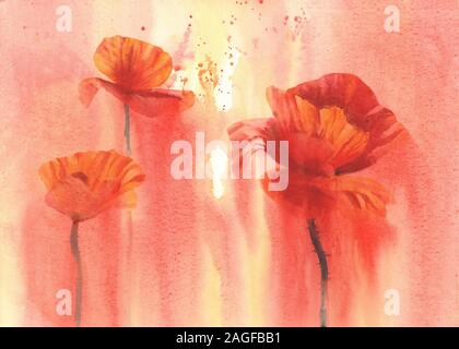 Poppy Flower rot Hintergrund aquarell Abbildung Stockfoto