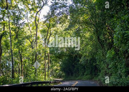 Ein langer Weg hinunter die Straße in Maui, Hawaii Stockfoto