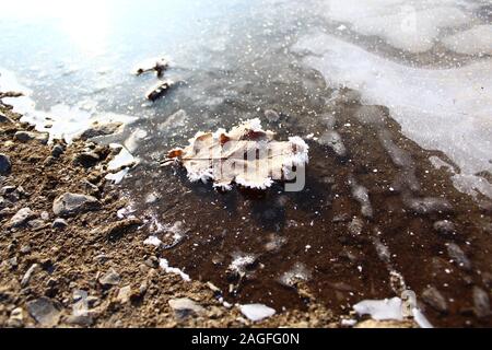 Das Bild zeigt ein Blatt auf einer gefrorenen Pfütze Stockfoto