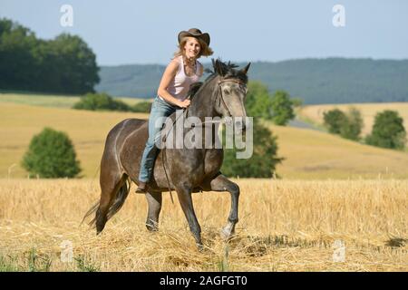 Junge Reiter ohne Sattel auf einem Connemara Pony in einem Stoppelfeld Trab Stockfoto