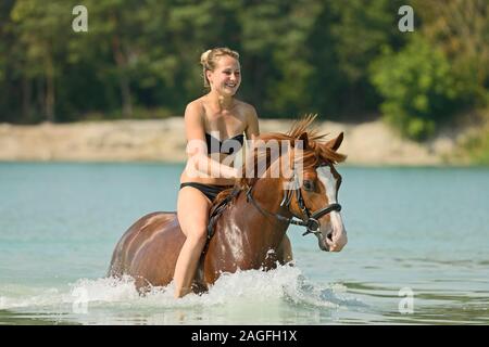 Junge Frau Reiten ohne Sattel auf einem deutschen Pony in einem See Stockfoto