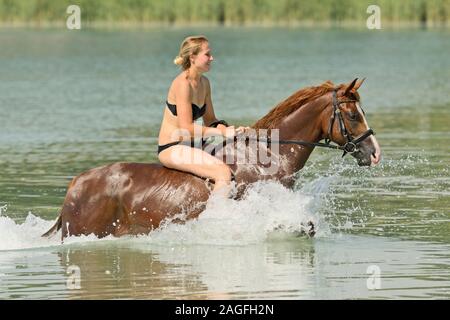 Junge Frau Reiten ohne Sattel auf einem deutschen Pony in einem See Stockfoto