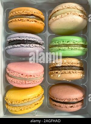 Eine Gruppe von bunte Macarons in einem Kunststoffgehäuse gestapelt. Baiser-basierte Dessert Stockfoto