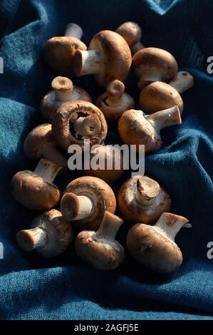 Braun Champignon essbare Pilze auf Stoff Stockfoto