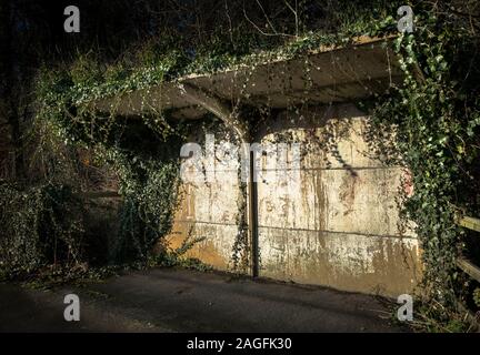 Eine alte Beton vorgefertigte Wartehalle in Efeu bedeckt. Stockfoto