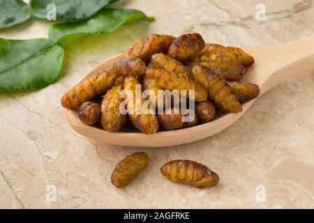 Holzlöffel mit knusprigen Seidenraupen und frische Kaffernlimette Blätter im Hintergrund Stockfoto