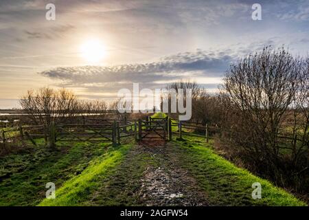 Erhöhter Fußweg und Tore führen Sie auf die andere Seite des Wicken Fens, nationales Naturschutzgebiet und Feuchtgebiete mit der Sonne tief im Himmel und sattem Grün Stockfoto