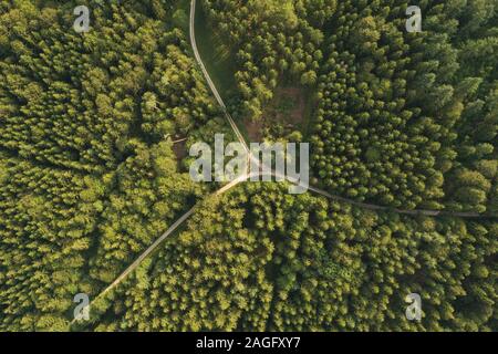 Blick von oben auf die Straße mit Schnittpunkt im Wald als Entscheidung Konzept Stockfoto