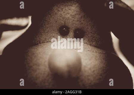 Tier Stofftier, schwarz, runde Augen close-up, bw Foto. Stockfoto