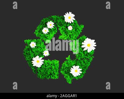 Grüne bereiten Sie Zeichen mit weißen Gänseblümchen Blumen auf dunkelgrauem Hintergrund isoliert. Beschneidungspfad enthalten. 3D-Darstellung. Stockfoto