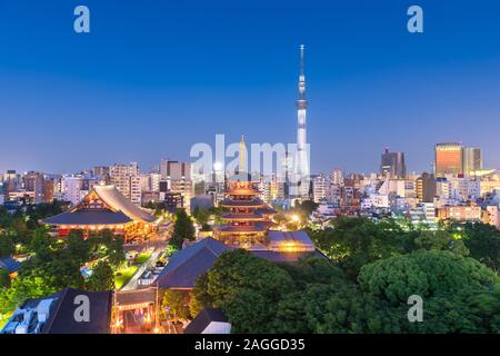 Tokio, Japan Skyline in Asakusa in der Nacht. Stockfoto