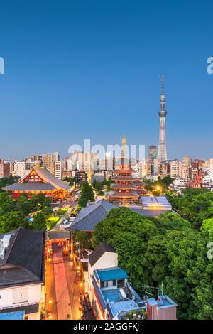 Tokio, Japan Skyline in Asakusa in der Nacht. Stockfoto