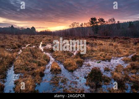 Sonnenaufgang über feuchtes Heideland in der Nähe von Trellech, South Wales. Stockfoto