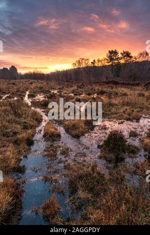 Sonnenaufgang über feuchtes Heideland in der Nähe von Trellech, South Wales. Stockfoto