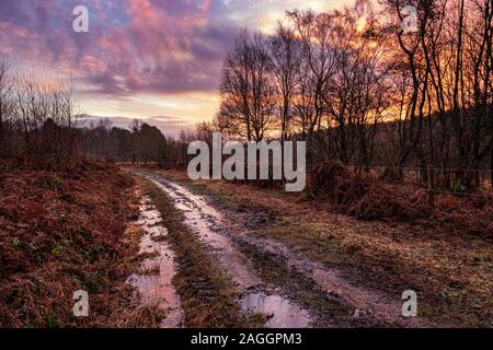 Sonnenaufgang über feuchtes Heideland in der Nähe von Trellech, South Wales. Stockfoto