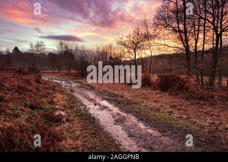 Sonnenaufgang über feuchtes Heideland in der Nähe von Trellech, South Wales. Stockfoto