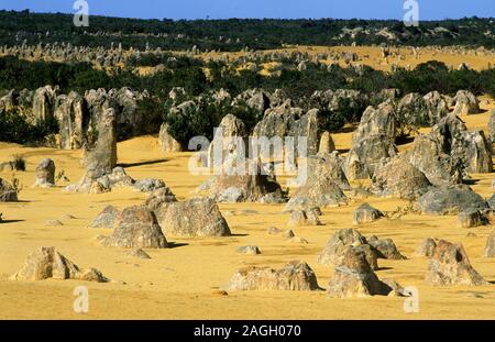 Pinnacles Wüste. Nambung National Park. Western Australia Stockfoto