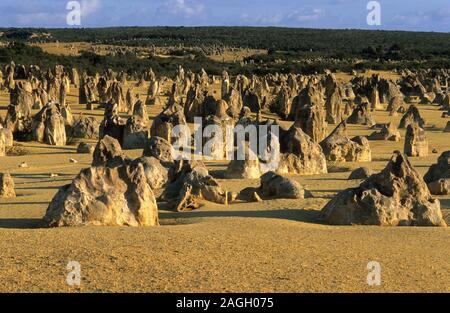 Pinnacles Wüste. Nambung National Park. Western Australia Stockfoto