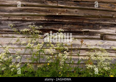 STRAUMSBUKTA, INSEL KVALØYA, Troms County, NORWEGEN - Historisches Museum Dorf Straumen Gård. Stockfoto