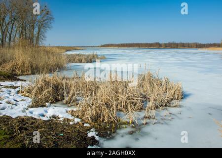 Gras und Schnee am Rande eines zugefrorenen See. Horizont und blauer Himmel - Winter sonniger Tag Stockfoto