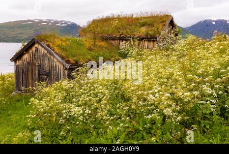 STRAUMSBUKTA, INSEL KVALØYA, Troms County, NORWEGEN - Historisches Museum Dorf Straumen Gård mit Rasen Dach Gebäude. Sod Dach ist traditionell. Stockfoto