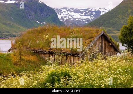 STRAUMSBUKTA, INSEL KVALØYA, Troms County, NORWEGEN - Historisches Museum Dorf Straumen Gård mit Rasen Dach Gebäude. Sod Dach ist traditionell. Stockfoto