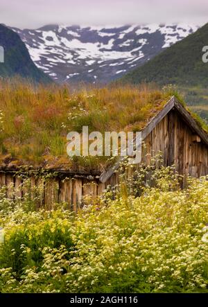 STRAUMSBUKTA, INSEL KVALØYA, Troms County, NORWEGEN - Historisches Museum Dorf Straumen Gård mit Rasen Dach Gebäude. Sod Dach ist traditionell. Stockfoto