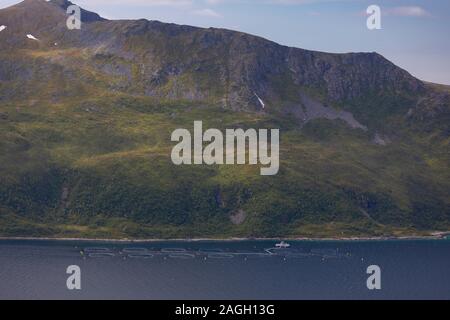 SESSØYA INSEL, Troms County, NORWEGEN - Aquakultur, Lachszucht neben Sessøya Insel, Nord Norwegen. Stockfoto