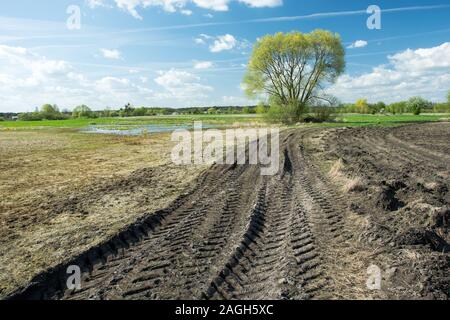 Traktor Reifen Spuren in einem Feld, Baum und weiße Wolken am blauen Himmel - sonniger Frühlingstag Stockfoto