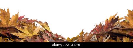 Herbst Hintergrund. Farbige trockene Blatt auf dem weißen Hintergrund. Stockfoto