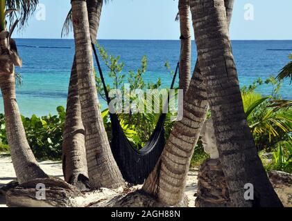 Ein schwarzer Hammock, der zwischen Palmen und dem Ozean im Hintergrund ruht. Stockfoto