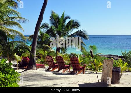 Drei rote Adirondack Stühlen mit Blick auf das Meer mit Palmen rund um. Stockfoto